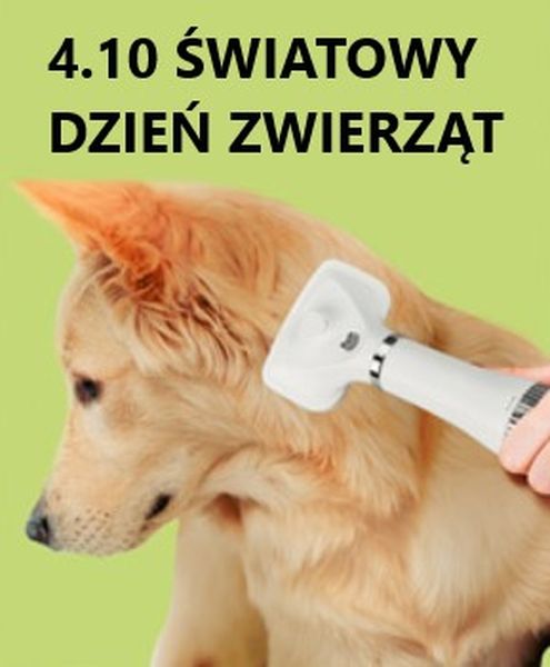 Światowy Dzień Zwierząt