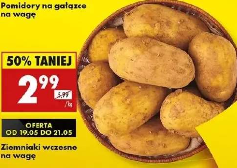 ziemniaki wczesne