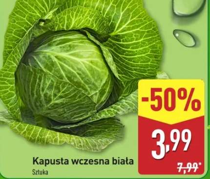 kapusta wczesna