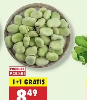 bób