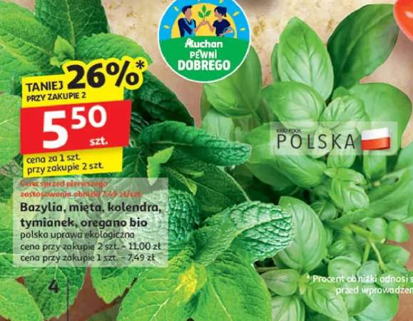 zioła