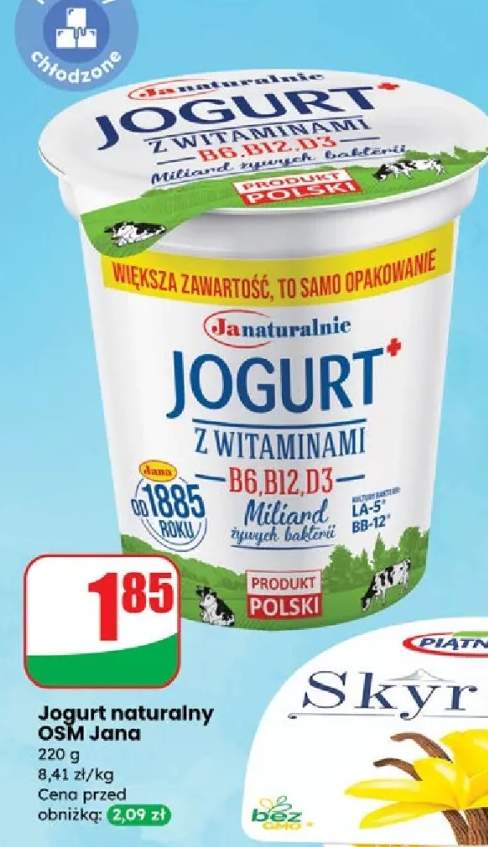 Skyr jogurt islandzki