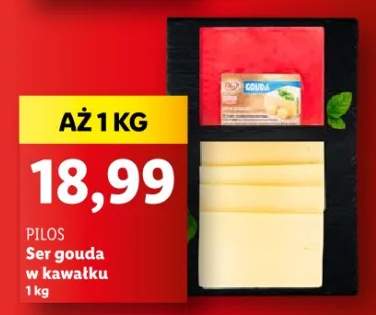 ser Gouda