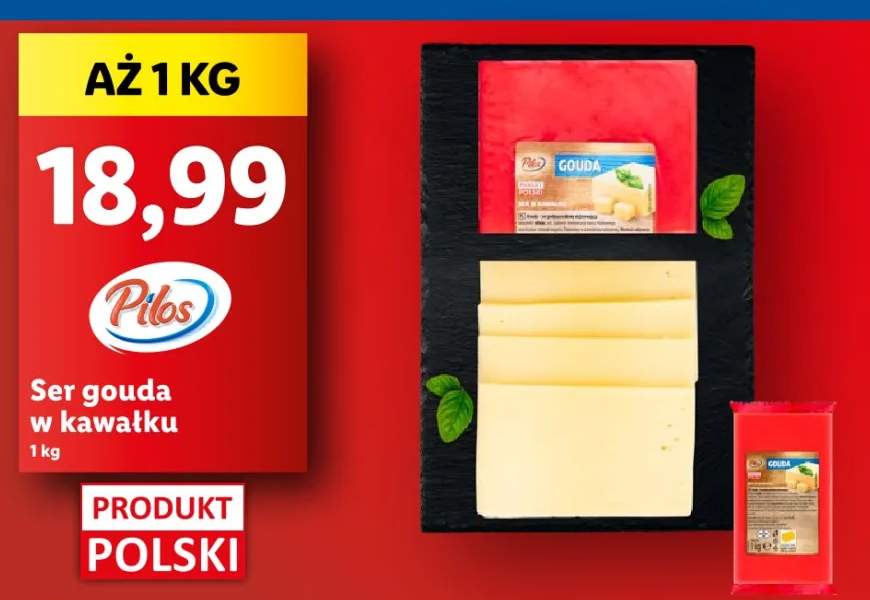 ser Gouda