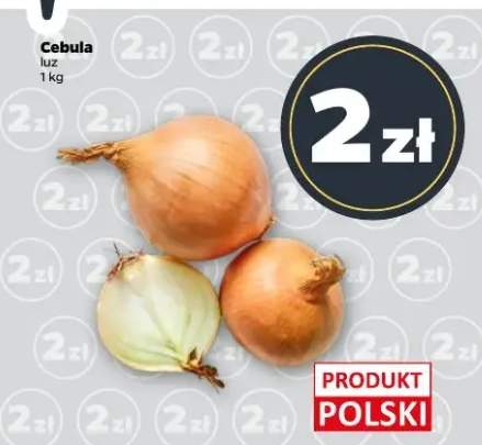 cebula