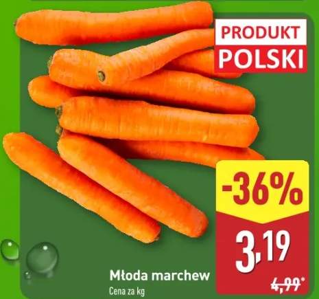marchew młoda