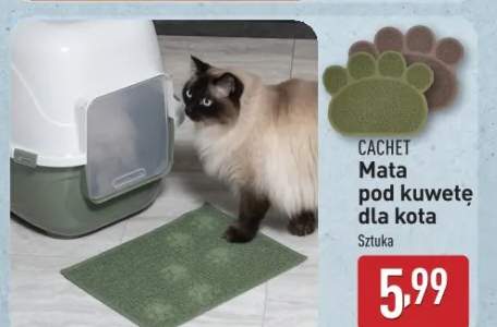 mata