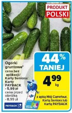 ogórek gruntowy