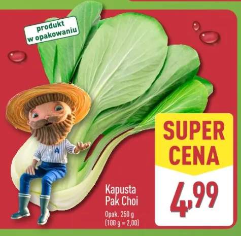 kapusta pak choi