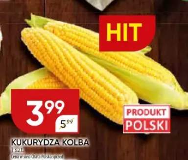 kukurydza