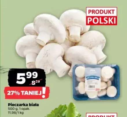 pieczarki