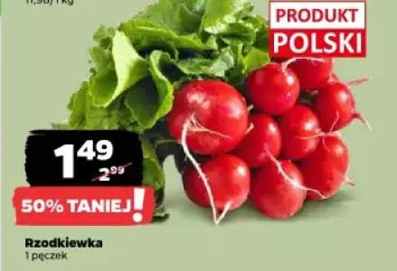 rzodkiewka