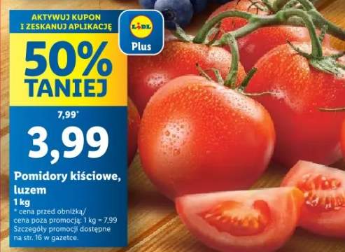 pomidory
