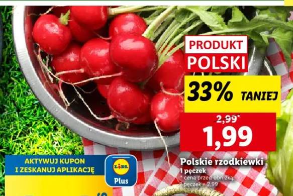 rzodkiewka