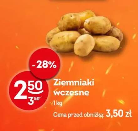 ziemniaki wczesne