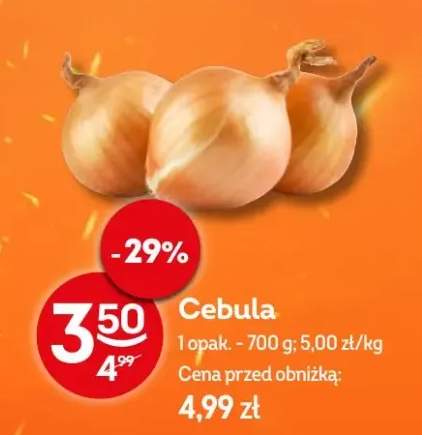cebula