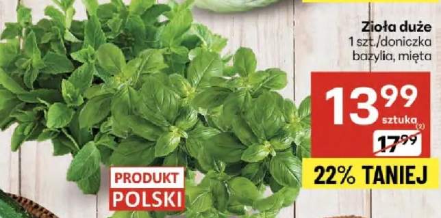 zioła