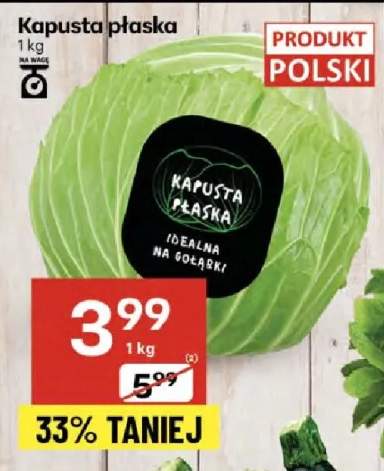kapusta