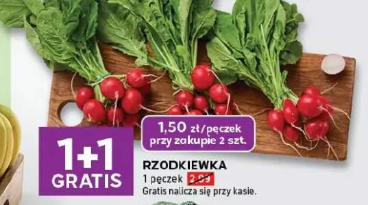 rzodkiewka