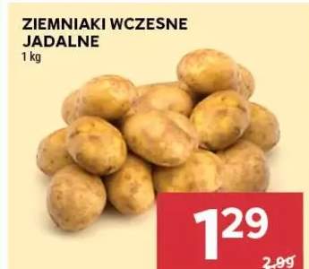 ziemniaki wczesne