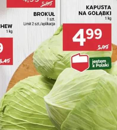 kapusta