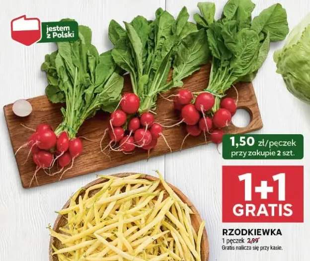 rzodkiewka