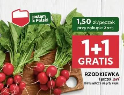 rzodkiewka