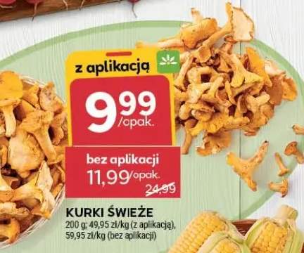 kurki