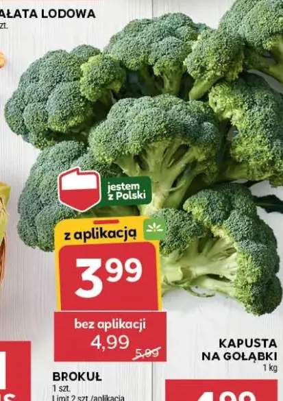 kapusta