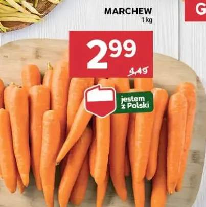 marchew