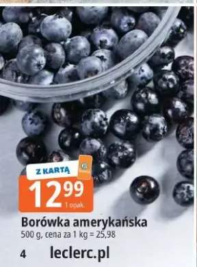 borówka amerykańska