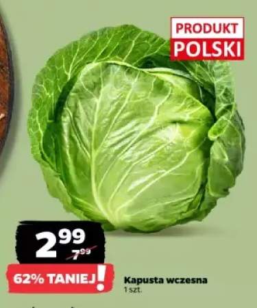 kapusta wczesna