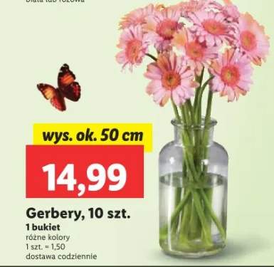 gerbery bukiet
