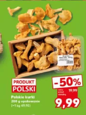 kurki