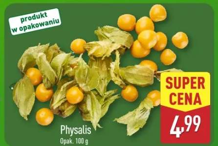 physalis
