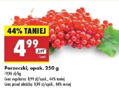 porzeczka czerwona