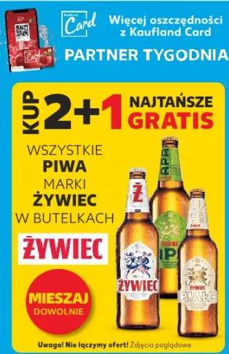 piwo