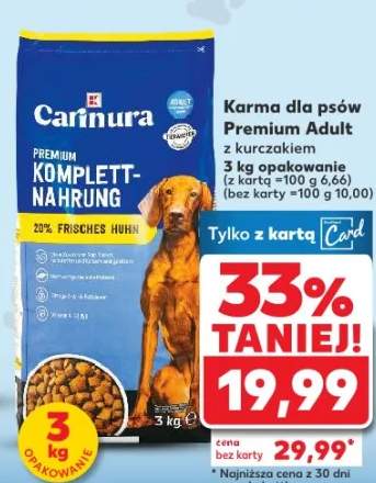 kurczak