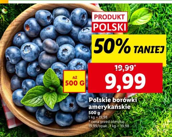 borówka amerykańska