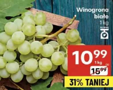 winogrona
