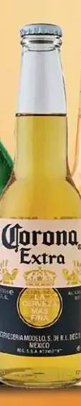 piwo Corona