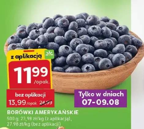 borówka amerykańska