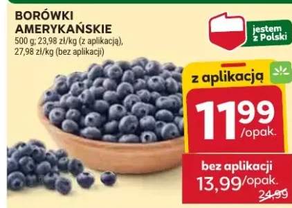 borówka amerykańska