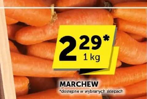 marchew