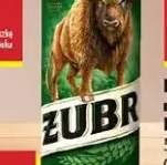 piwo Żubr