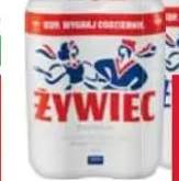 piwo Żywiec