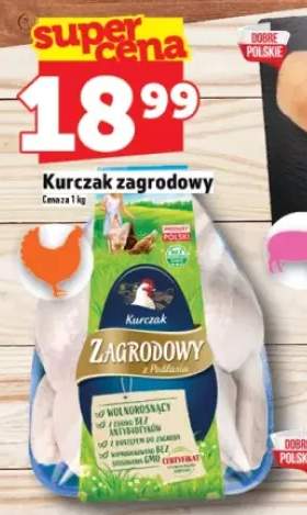 kurczak