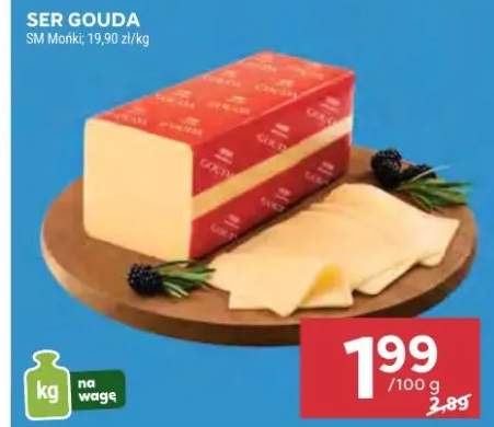 ser Gouda