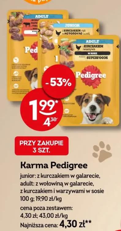 kurczak w galarecie