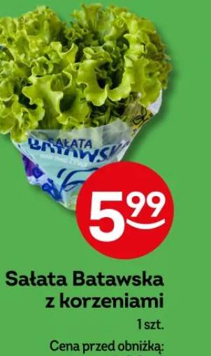 sałata